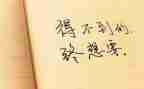 工作条例个人心得体会8篇