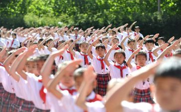 二年级入队申请书8篇