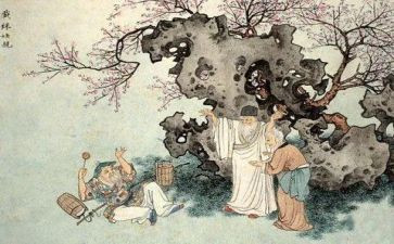作文儒林外史读后感通用5篇