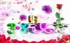 三八妇女节促销活动方案策划5篇
