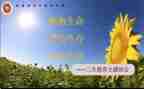 高三生物上学期教学工作总结6篇