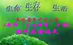 初三生活是首歌作文6篇