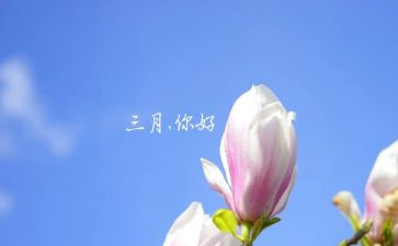 《三月》读后感7篇