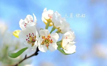 幼儿园三月工作计划6篇