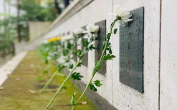 学生扫墓活动方案7篇