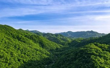 佛山房屋租赁合同7篇