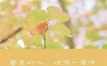 善作文六百字最新5篇
