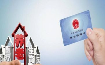 社保工作年度总结6篇