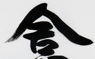 舍得作文800字7篇