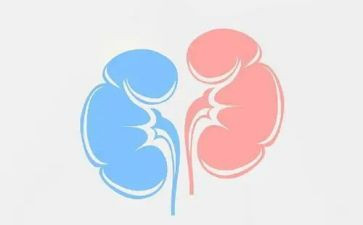肾内科护士述职报告推荐8篇