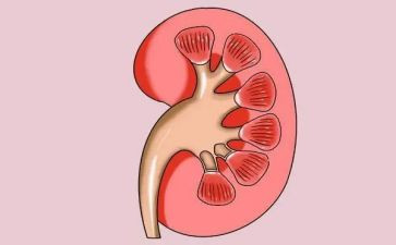 肾内科护士述职报告优质6篇