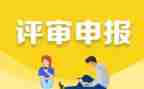 申报工作总结范文7篇