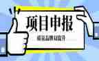 申报职称述职报告7篇