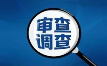 审查调查工作总结202X年审查调查工作总结5篇