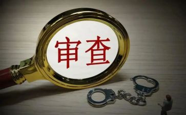 审查调查报告7篇