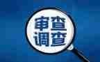 审查调查工作总结202X年审查调查工作总结5篇