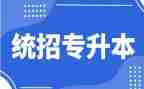 专升本的心得体会7篇