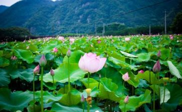 生活组工作总结范文参考7篇