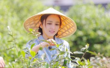 生活类的作文600字优质5篇