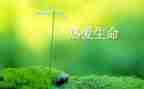 生命800字作文6篇
