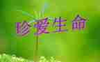 珍爱生命远离溺水的作文7篇