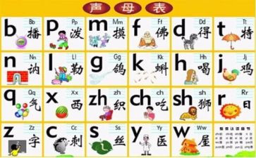 拼音声母d的教案8篇