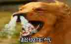 作文生气了500字通用6篇