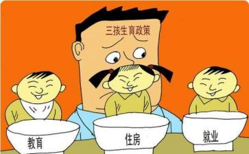 计划生育工作总结和工作计划优秀8篇