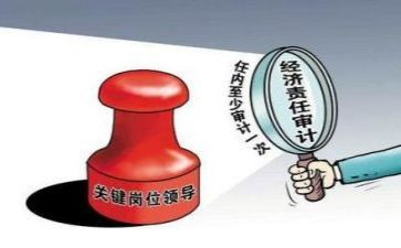 内部审计心得体会8篇