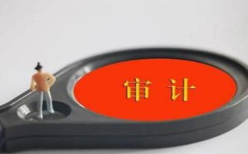 审计员的工作总结6篇