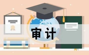 高校审计个人工作总结5篇