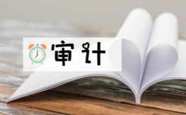 2024年审计年终工作总结最新5篇