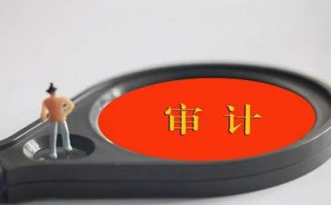 审计员个人总结参考5篇