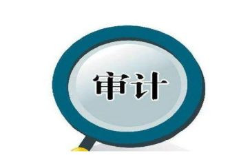 审计助理年度工作总结7篇