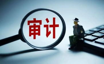 审计工作的工作总结5篇