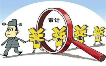 审计员的工作总结精选5篇