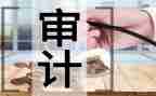 审计年终个人工作总结8篇