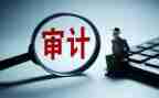 审计半年度工作总结参考7篇