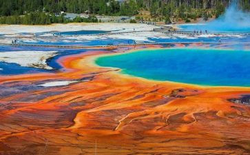 神奇的自然作文5篇