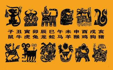十二生肖教案模板6篇