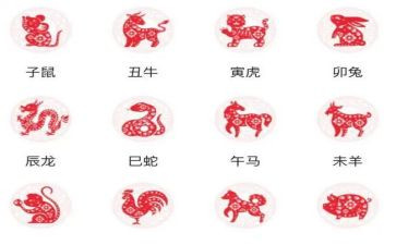 十二生肖观后感5篇