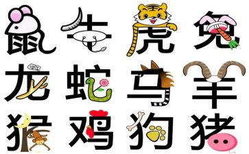 社会教案十二生肖教案5篇