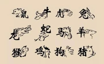 社会《十二生肖》教案8篇
