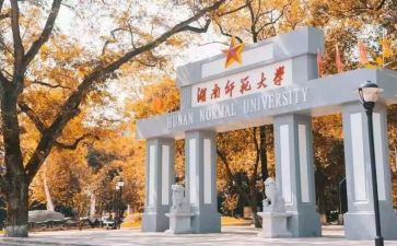 主任述职报告医师范文7篇