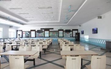 食堂会计述职报告7篇