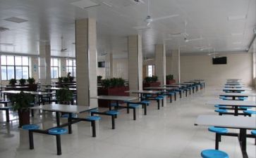 食堂2024年上半年工作总结6篇