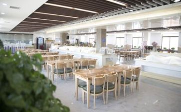 年终食堂工作总结通用6篇