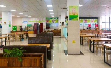 食堂管理工作自查报告7篇