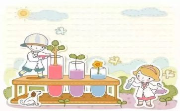 作文的我做了一项小实验的作文推荐5篇