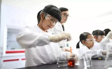 电分实验心得体会7篇